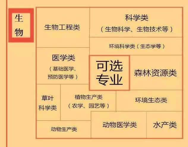根據(jù)特長選專業(yè)，高中各門課程對應(yīng)大學(xué)專業(yè)實(shí)用盤點(diǎn)，志愿填報(bào)的你不可錯過！