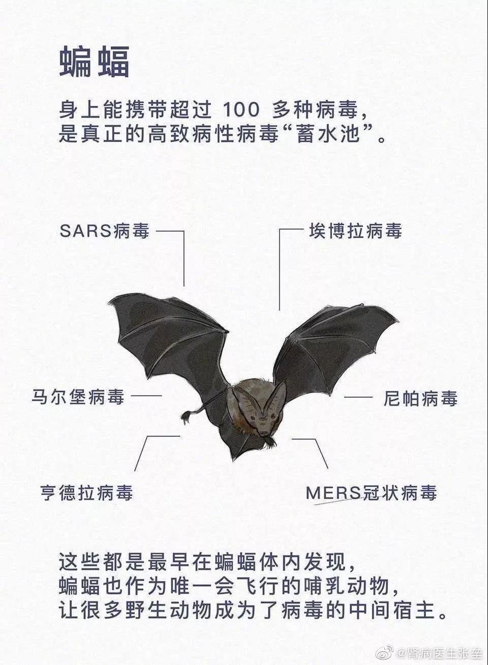 這10道與疫情有關(guān)的作業(yè)題，你的孩子會如何作答？