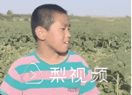 這位11歲男孩的暑假生活，被網(wǎng)友狂贊