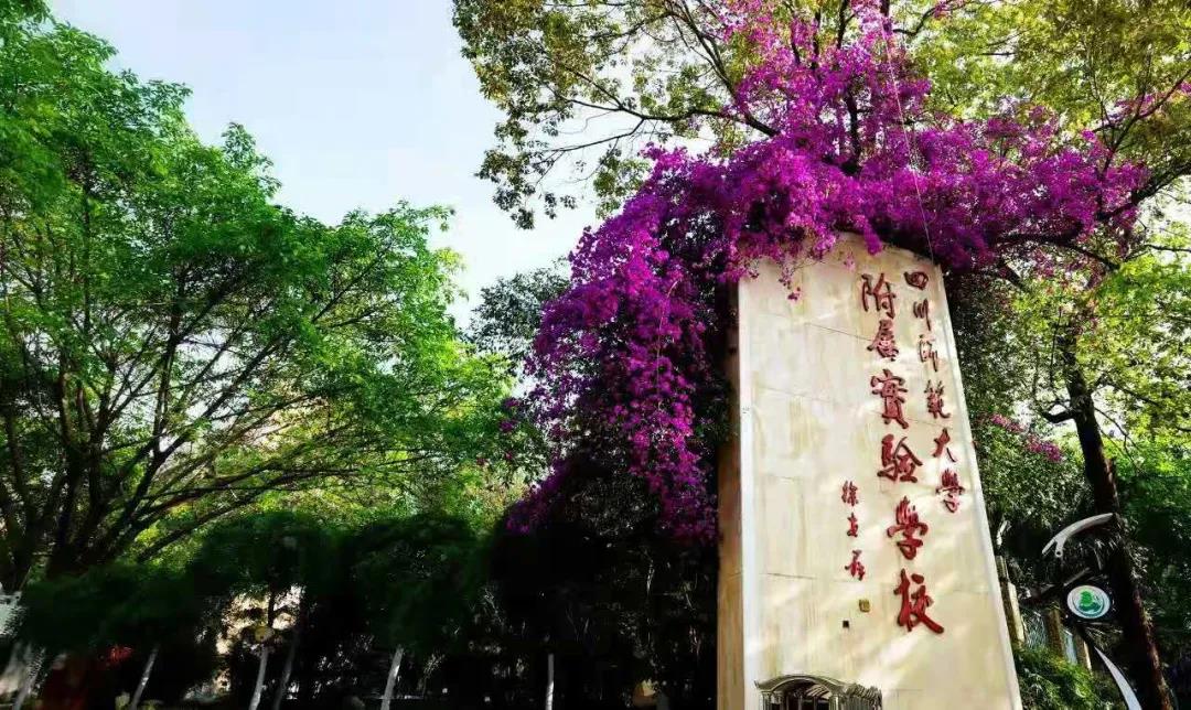 又一所官宣升級！成都一貫制學校有哪些了？
